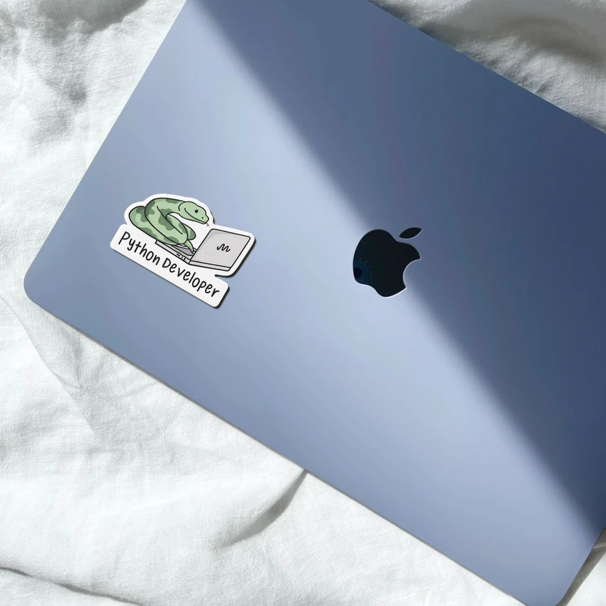 Python Developer Tech Pun Stickers