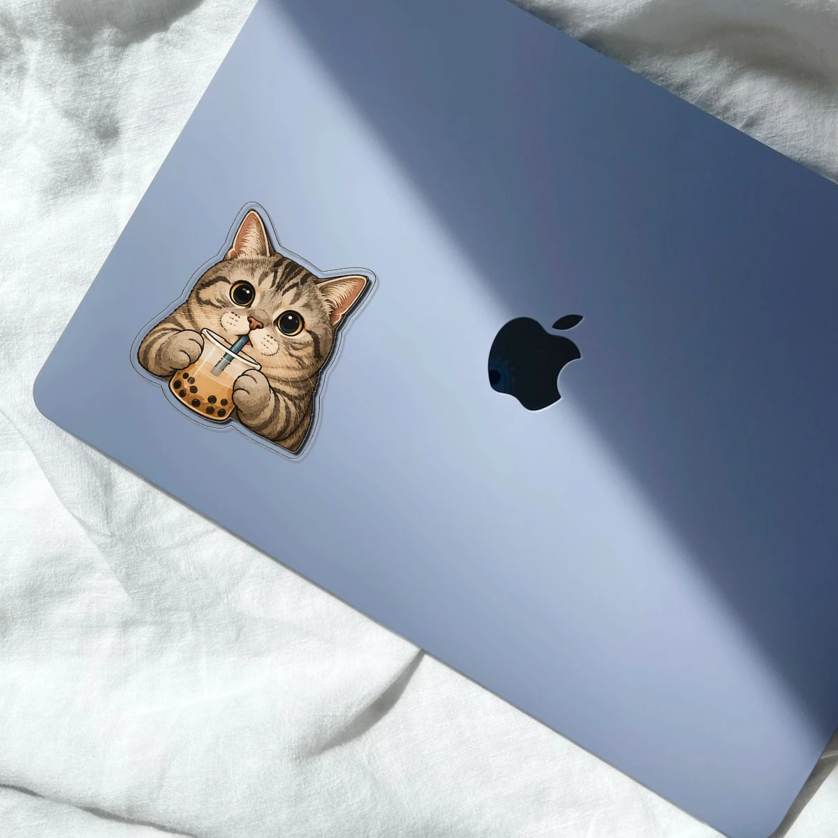 Blanket Cat