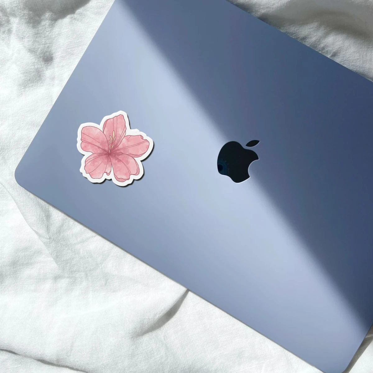 Flower Petal Pink