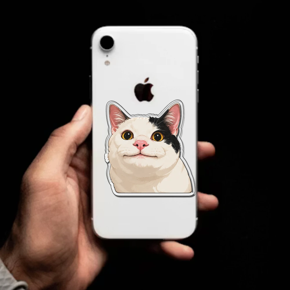 Grumpy Cat Meme