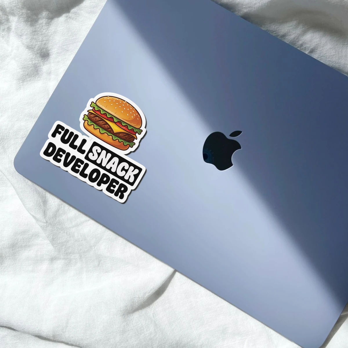 Full Snack Developer Funny Programmer Coding