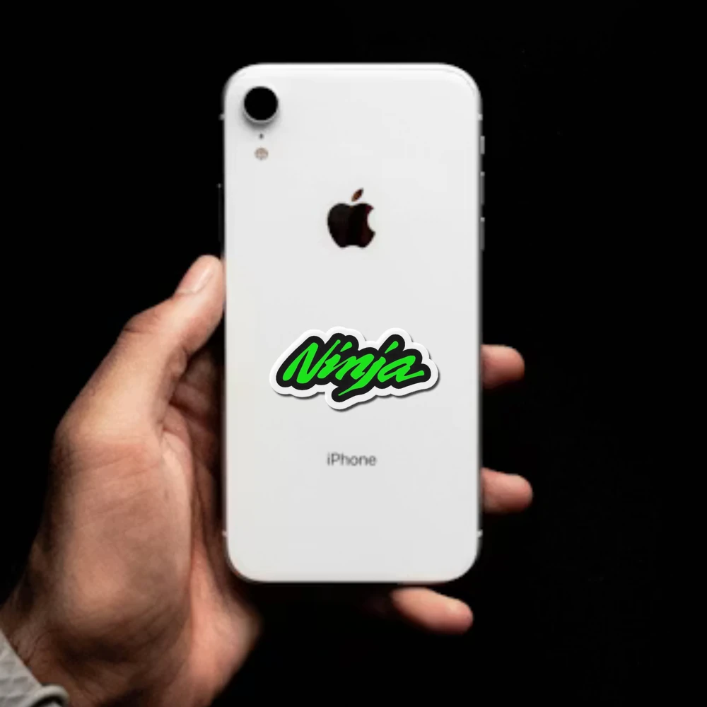 Kawasaki Ninja Logo Magnet Ninia