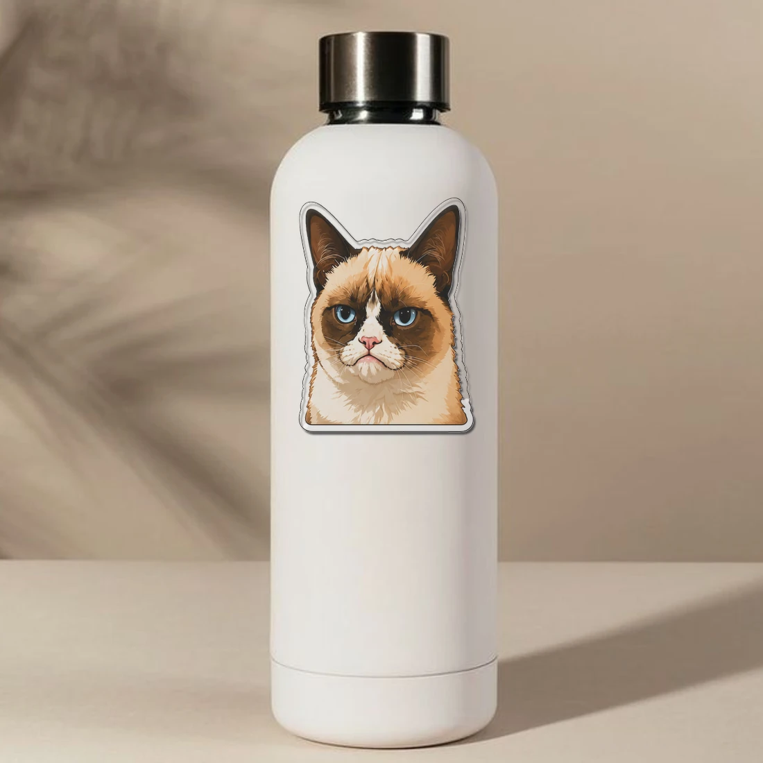 Polite Cat Beluga