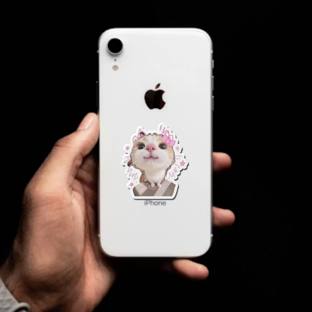 Facial Expression Cat Felinae