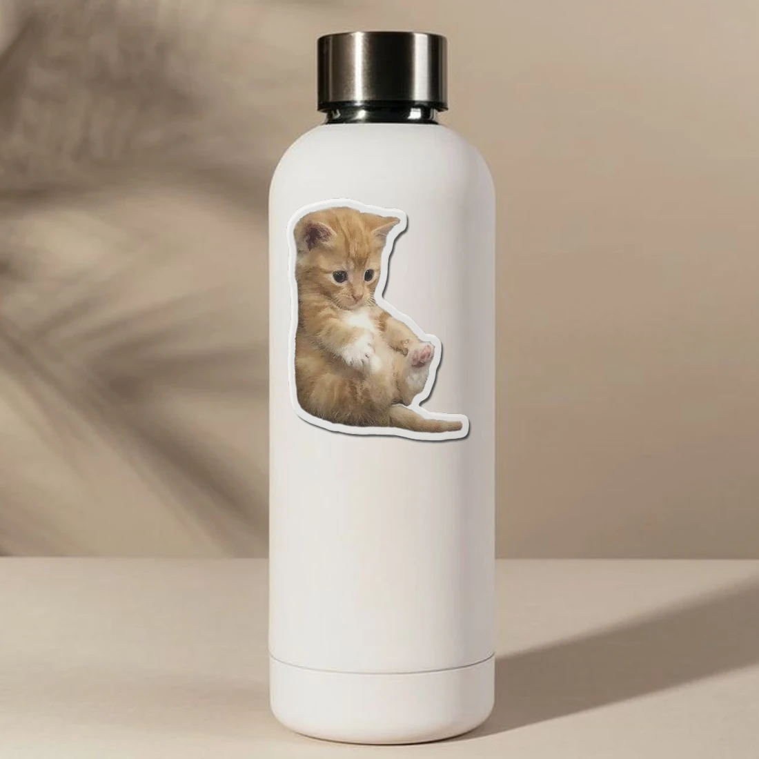 Orange Cat Kit