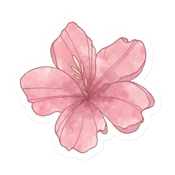 Flower Petal Pink