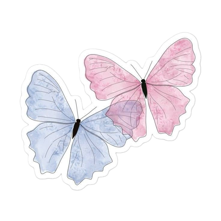 Pollinator Butterfly Wing