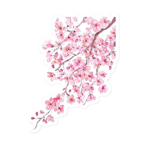 Pink Petal Blossom