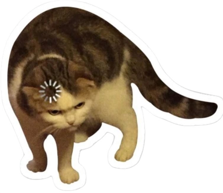 Cat Felidae Felinae