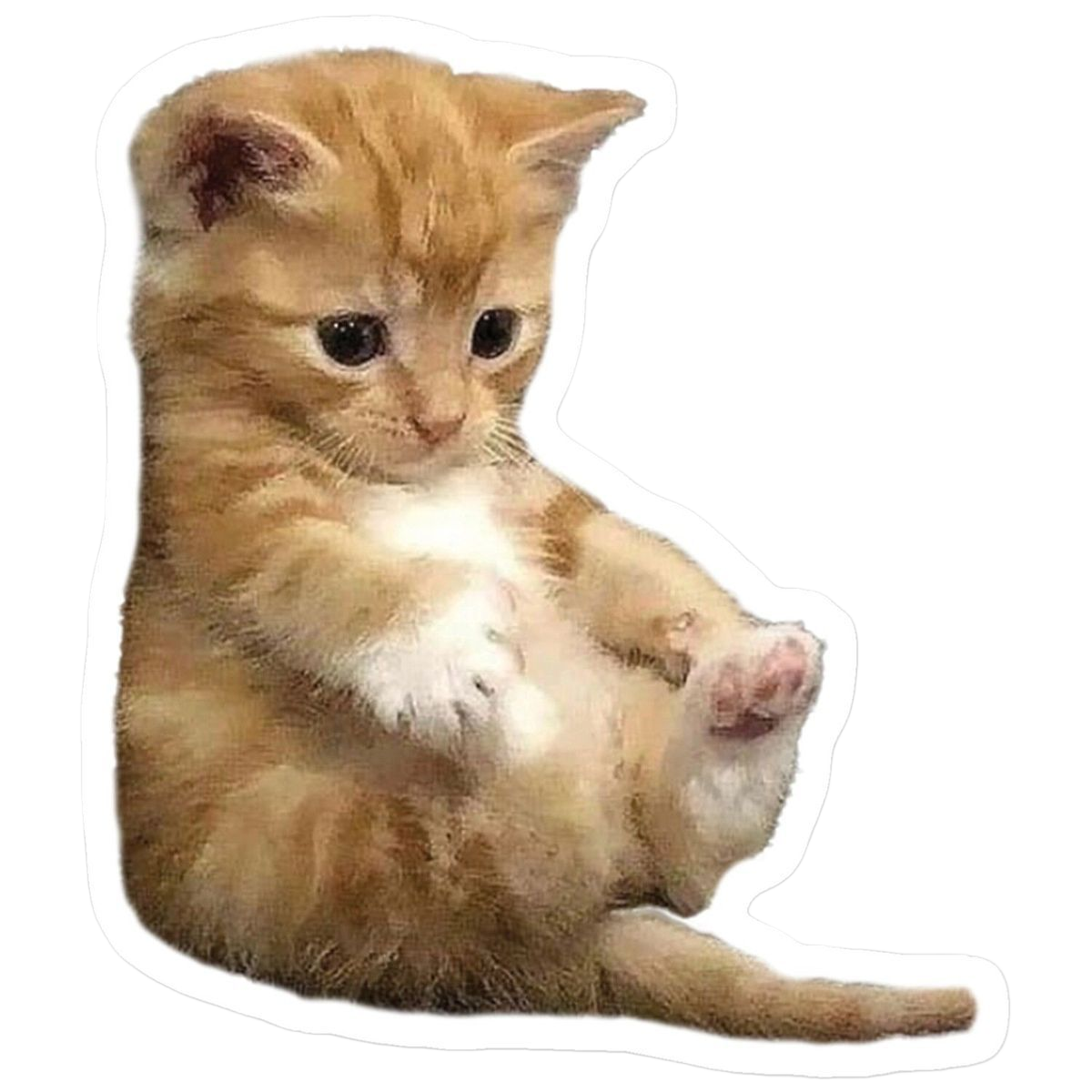 Orange Cat Kit