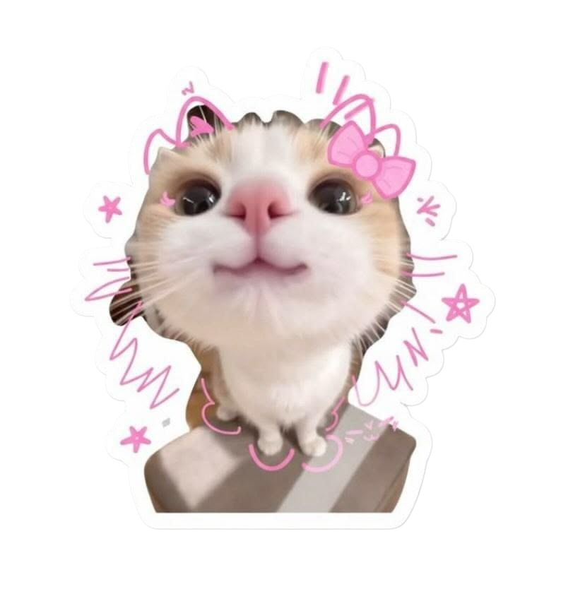 Facial Expression Cat Felinae