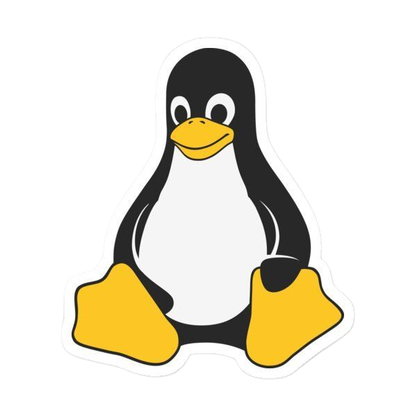 Beak Flightless Bird Penguin