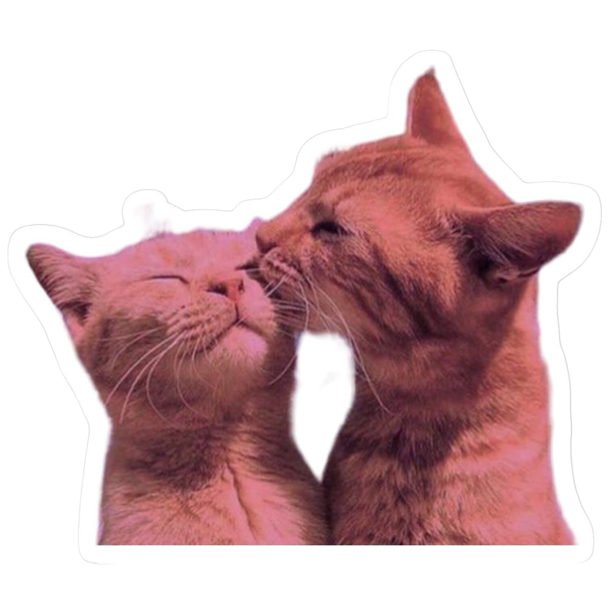 Cats Love Bring Your Collection